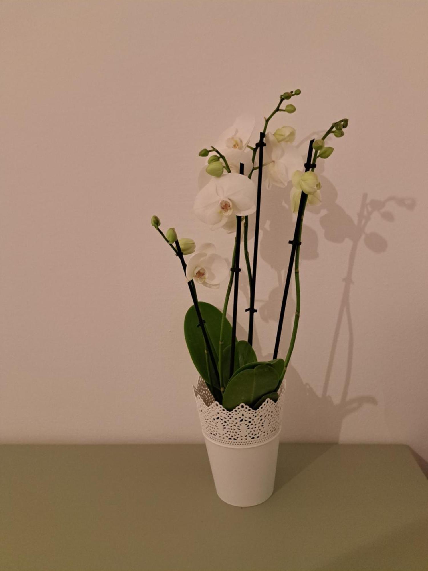 Apartament Casa Di Tre Saloniki Zewnętrze zdjęcie